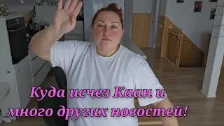 И второй ребёнок сбежал в Германию?/новости за новостями