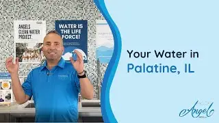 What's in Palatine, IL Water? | Angel Water, Inc