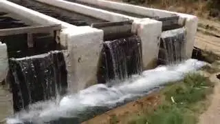 PERÚ PISCIGRANJA DE TRUCHAS GIGANTESCA CANTA