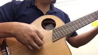 Cocobolo and bocote classical guitar with shallow body by luthier Paco Moreno