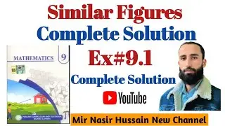 Similar Figures | Chapter 9 | 9th Class Math | Complete Concept with Easy Urdu Explanation