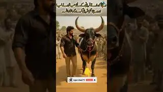 Sunnat Hai Ibrahim #shortsviral #shortvideo #shorts #short