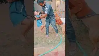 #doglove #dog #lover #masti #with #senky#cutebaby #papabetilove