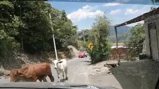 YACOPI CUNDINAMARCA TIERRA DE PAZ MUJERES BONITAS Y GENTE TRABAJADORA🇨🇴🤩🤩