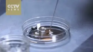 IVF demand increases as China ends one-child policy