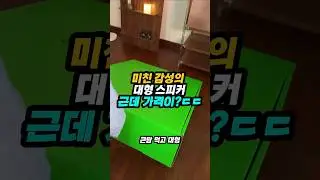 미친감성의 대형 스피커 근데 가격이?!