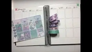 Plan With Me - February 2019 ft. Print Petticoat Bandit