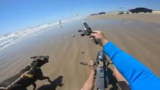 dog pulling kite buggy
