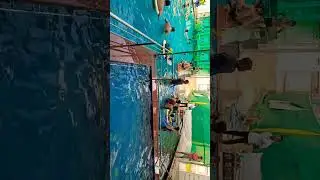 swimfit swimming pool Muzaffarpur ( Sunday Fun 😊)
