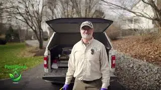 Year-Round Pest Protection Every Homeowner Needs (Eco-Friendly & Safe!)