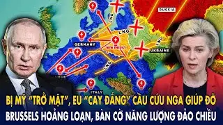 Bị Mỹ “trở mặt”, EU “cay đắng” cầu cứu Nga giúp đỡ: Brussels hoảng loạn, bàn cờ năng lượng đảo chiều