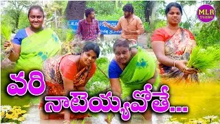వరి నాటెయ్యవోతే  l VARI NATEYYAVOTHE l village comedy short film l MLR CREATIONS