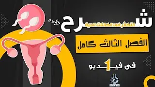 شرح فصل التكاثر فى الكائنات الحيه كامل فى فيديو واحد 🎁💯 | احياء تالته ثانوى 2023 | إيمان حسن ✅