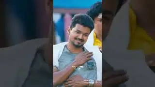 vija fans