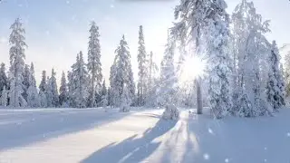 Завалило - закидало