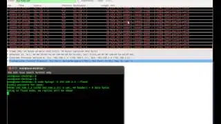 Crafting Syn packets with HPING3 and DOS