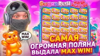 САМАЯ ОГРОМНАЯ ПОЛЯНА В МОЕЙ ЖИЗНИ! 20.000x за СПИН! ШОК!
