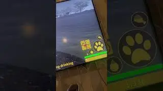 Savannah life Roblox leopard