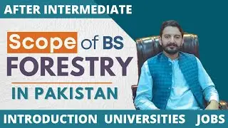 Forestry | Scope of BS Forestry in Pakistan | Jobs after forestry | Zia Ur Rehman