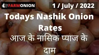 1 July 2022 Nasik Onion Rate Export And Domestic Quality , Nasik onion market , Nasik Pyaj Mandi