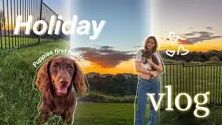 PUPPIES FIRST Holiday || Holiday vlog!!