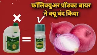 buonos  fungicide || Bayer lInfinito Marathi बायर का बोनस फंगीसाइड पूरीजानकारी मराठी |Bayer Product