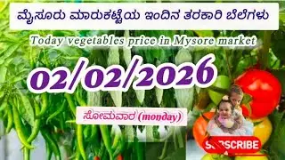 Mysore Apmc Vegetable Rates Today ll 02/02/2026
