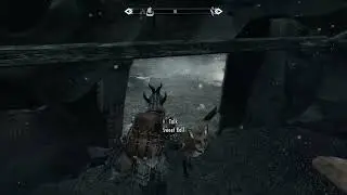 Pets of Skyrim - Blocking the Door