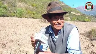 Producci&oacute;n de chirimoya y palta en Tuini-Morochata.