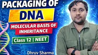 Packaging of DNA Explained Simply | Molecular Basis of Inheritance Ch 6 Part 2 | Genetics L2 Edureds