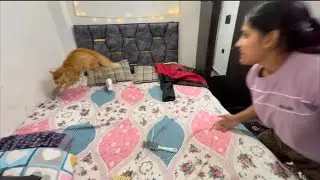 Billa dar giya cat so cute🐱🤣😂#vairalvideo #funny #couplevolgs #daillyvlogger 