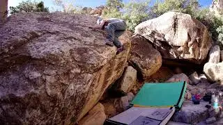 Turd In The Reflecting Pool V5