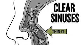 The $2 Salt Trick That Clears Sinus Mucus (Fast & Safe)