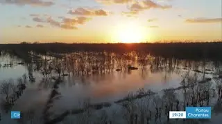 Le Marais Poitevin et le réchauffement climatique (3/3)