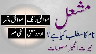 Mishal Name Meaning | Mishal Lucky Day | Mishal Lucky Stone | Mishal Numerology | Numerology