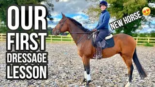 FIRST DRESSAGE LESSON ON MY ⭐️ NEW ⭐️ HORSE! | Footluce Eventing
