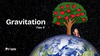 Gravitation| Class 9 | Science | Prism World