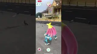 Hello Frogadier - Pokemon Go