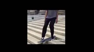 FT: The Skateboard Beat [5-N163]