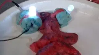 Making Conductive Dough in the Microwave then having fun with Squishy Circuits