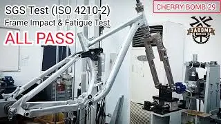 【DA BOMB】SGS Test (ISO 4210-2) of CHERRY BOMB 29 Frames - ALL PASS
