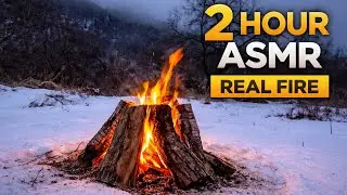 2 Hour REAL Fire ASMR 🔥 | Natural Crackling Sounds | No Talking