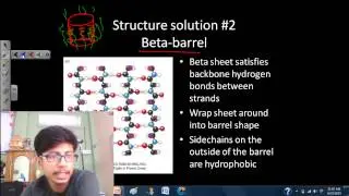 Transmembrane protein