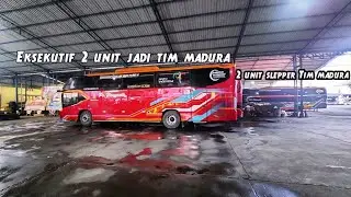 Po Haryanto Tambah 4 Unit Bus Buat Line Madura - Jakarta..
