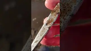 Ancient artifact will save the world