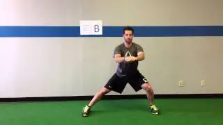 Alternating Lateral Squat