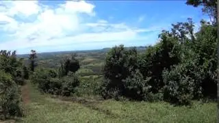 Xambura - Ilha do Ar - Voo Training