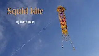 Squid kite by Ron Gibian