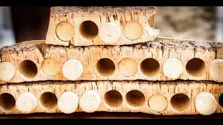 Cork - The most sustainable material in the world.