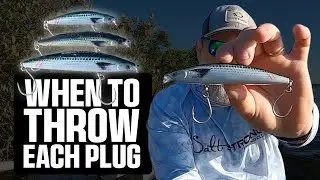 Small vs Big Diving Plugs (When to Throw Each One)